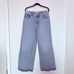 Everlane Summer Wide Leg Jeans Blue | Size 30
